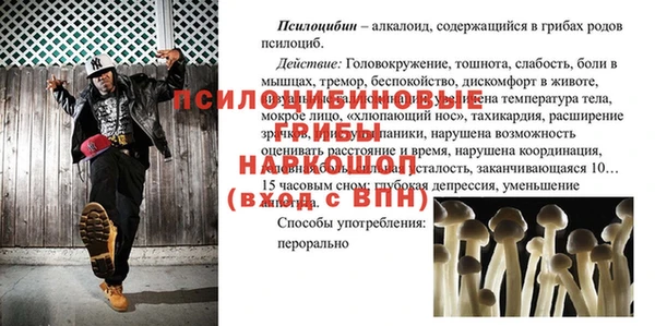spice Волосово