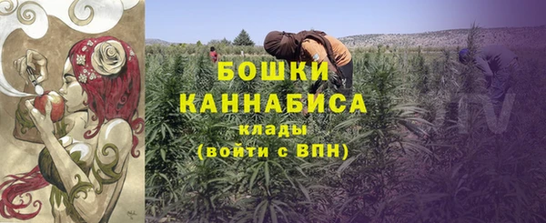 spice Волосово