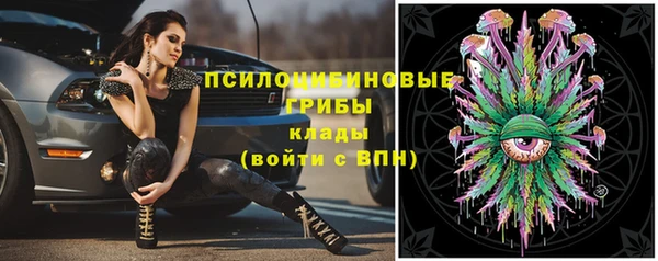 герыч Володарск